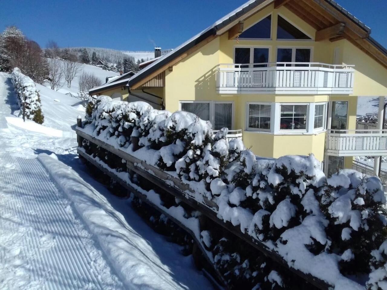 "Schwarzwaldblick" Ferienwohnung 2-4 Pers 65Qm, Schoene Ruhige Suedhanglage Mit Herrl Aussicht Todtnau Luaran gambar