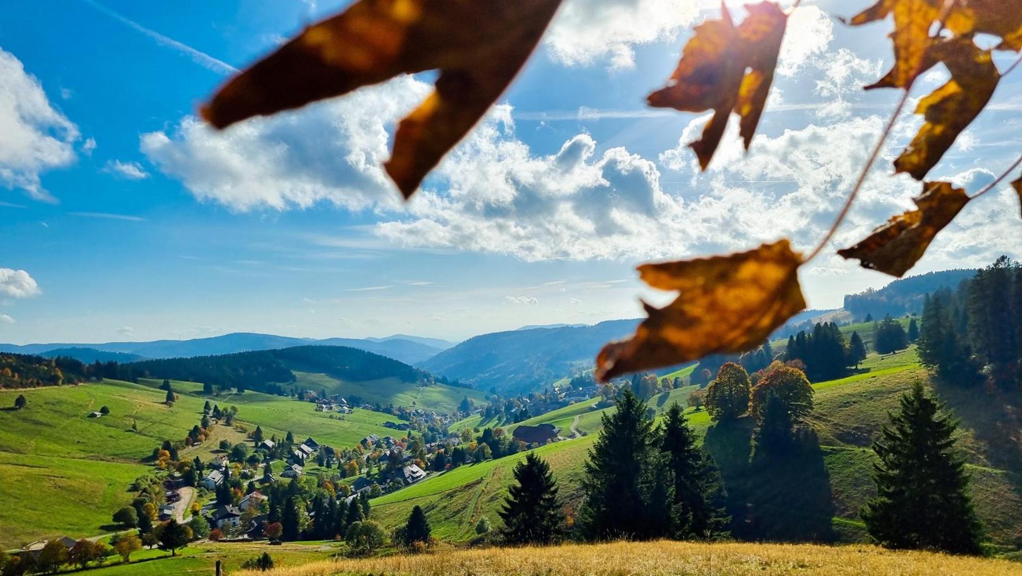 "Schwarzwaldblick" Ferienwohnung 2-4 Pers 65Qm, Schoene Ruhige Suedhanglage Mit Herrl Aussicht Todtnau Luaran gambar